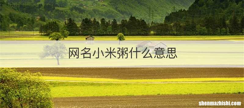 网名小米粥什么意思