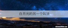 白月光的另一个叫法