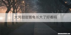 大河甜甜圈龟长大了好看吗