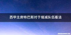 西甲主席特巴斯对于缩减队伍看法