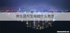 男生送女生锦鲤什么意思