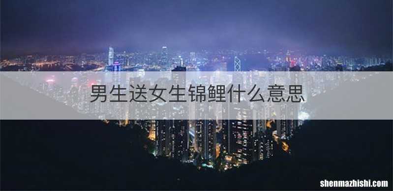 男生送女生锦鲤什么意思