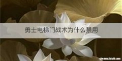 勇士电梯门战术为什么禁用