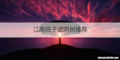江南院子遮阴树推荐