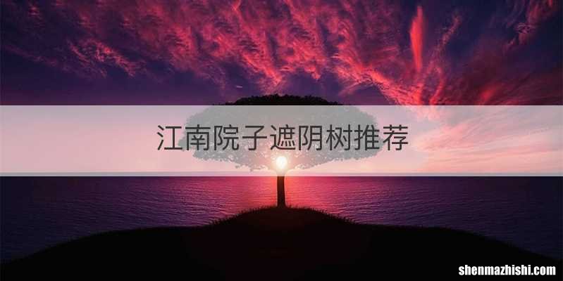 江南院子遮阴树推荐