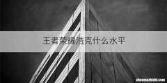 王者荣耀浩克什么水平