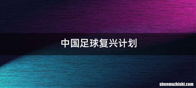 中国足球复兴计划