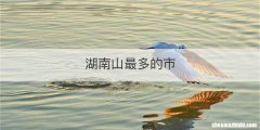湖南山最多的市