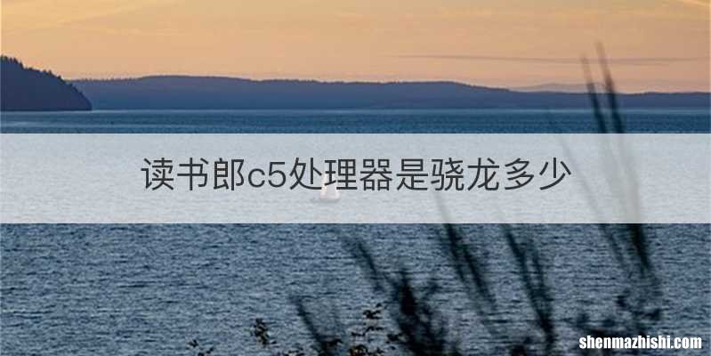 读书郎c5处理器是骁龙多少