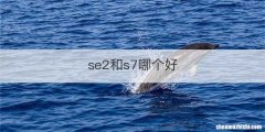se2和s7哪个好