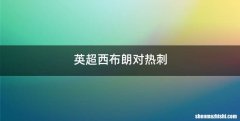 英超西布朗对热刺