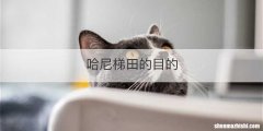 哈尼梯田的目的