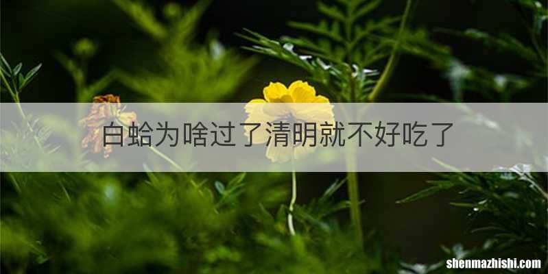 白蛤为啥过了清明就不好吃了