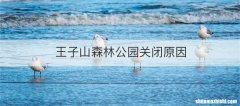 王子山森林公园关闭原因