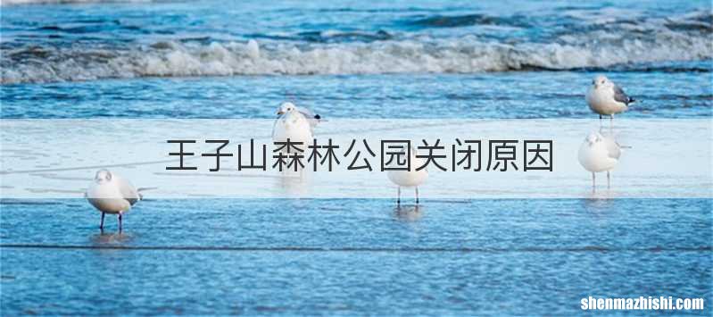 王子山森林公园关闭原因