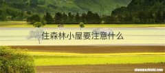 住森林小屋要注意什么