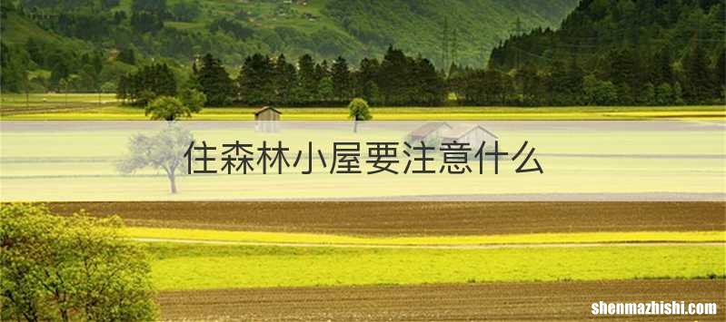 住森林小屋要注意什么