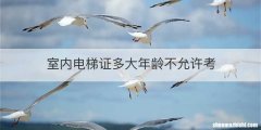 室内电梯证多大年龄不允许考