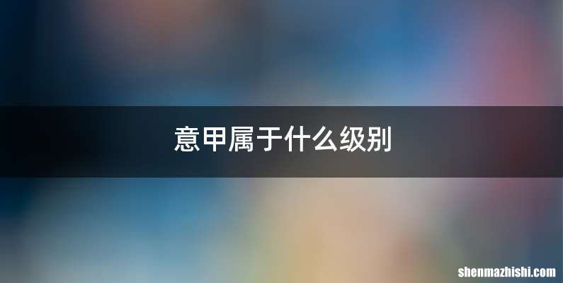意甲属于什么级别