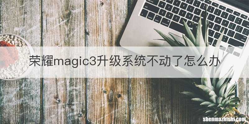荣耀magic3升级系统不动了怎么办
