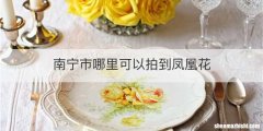 南宁市哪里可以拍到凤凰花