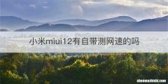 小米miui12有自带测网速的吗