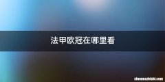 法甲欧冠在哪里看