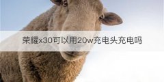 荣耀x30可以用20w充电头充电吗