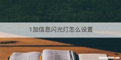 1加信息闪光灯怎么设置