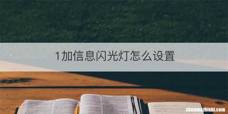 1加信息闪光灯怎么设置