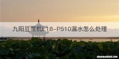 九阳豆浆机L18-P510漏水怎么处理