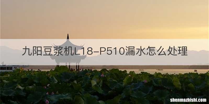 九阳豆浆机L18-P510漏水怎么处理