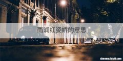 雨润红姿娇的意思