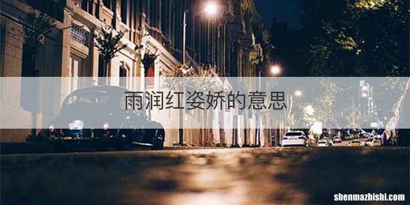 雨润红姿娇的意思