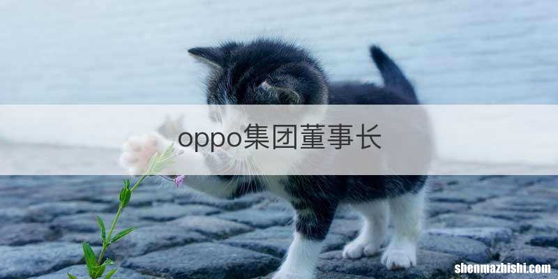 oppo集团董事长