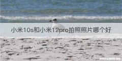 小米10s和小米12pro拍照照片哪个好