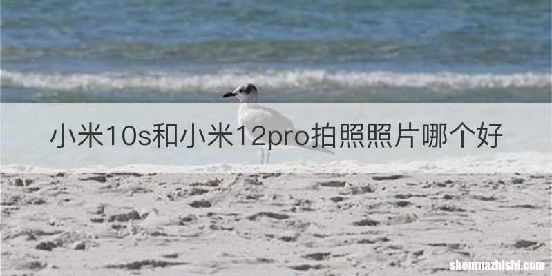 小米10s和小米12pro拍照照片哪个好