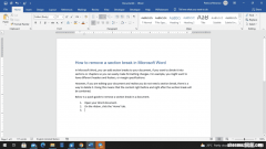 如何删除Microsoft Word中的分节符
