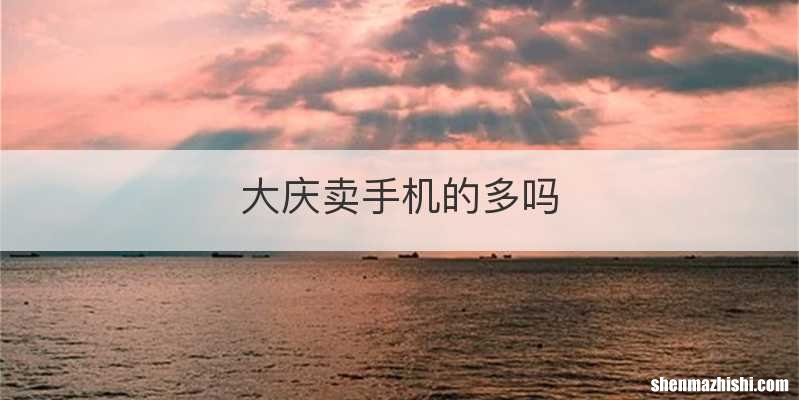 大庆卖手机的多吗