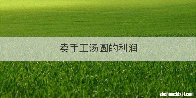 卖手工汤圆的利润