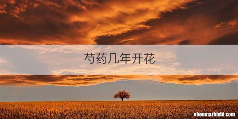 芍药几年开花