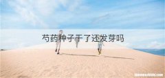 芍药种子干了还发芽吗