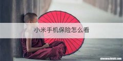 小米手机保险怎么看