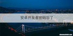 安卓开发者密码忘了