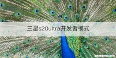 三星s20ultra开发者模式