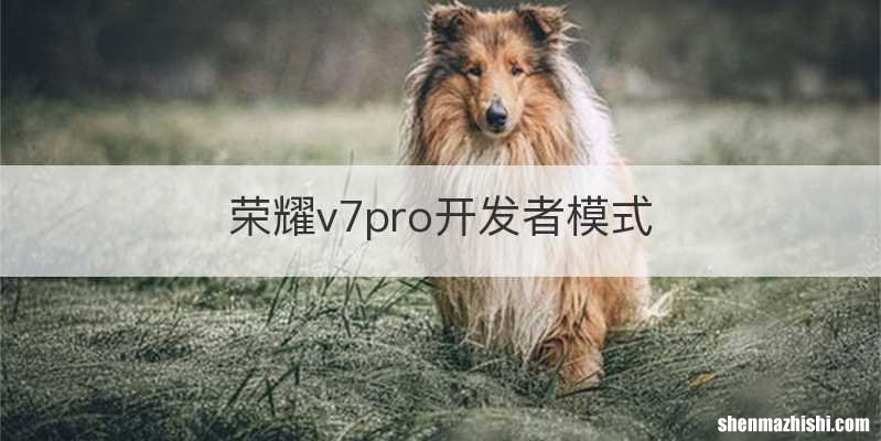 荣耀v7pro开发者模式