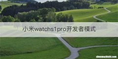 小米watchs1pro开发者模式
