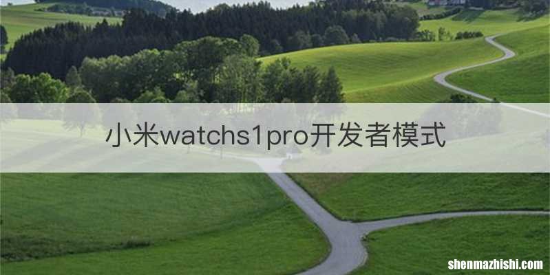 小米watchs1pro开发者模式