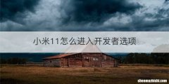 小米11怎么进入开发者选项