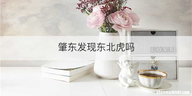 肇东发现东北虎吗